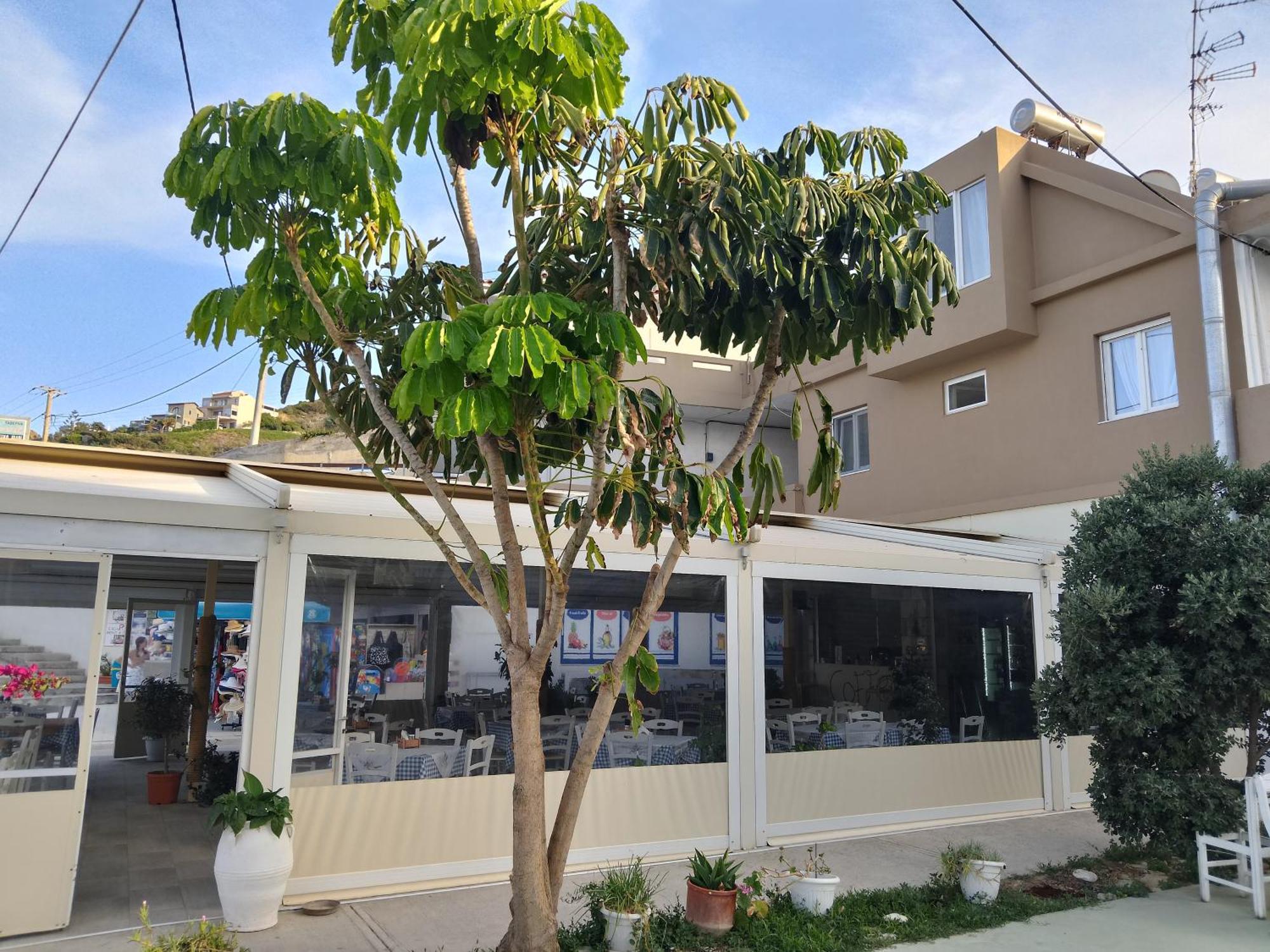 Anatoli Lygaria Apartments On The Beach ลิกาเรีย ภายนอก รูปภาพ